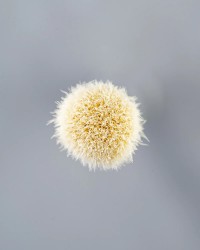 Small Narrow Blending Brush NCF No 22 Blery Cosmetics