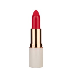 MD professionnel Lipstic Volume Up 64