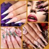 Nail Dual Forms Sandwich Almond 240pcs Nail Dual Forms Sandwich Almond 240pcs