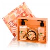 Body Care Set - Chocolate Orange Pie Quickgel Body Care Set - Chocolate Orange Pie Quickgel