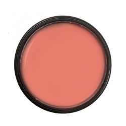 HYBRID POLYMER COSMETIC PINK 30gr Unique