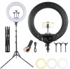 RL-18 Ring Light 45cm 18'' 2700 - 6500K με Τρίποδο Δαπέδου και Βάση για Κινητό RL-18 Ring Light 45cm 18'' 2700 - 6500K με Τρίποδο Δαπέδου και Βάση για Κινητό